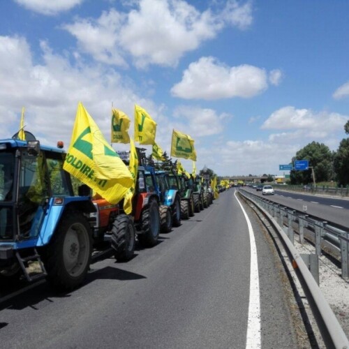 Xylella, trattori in marcia su Lecce: la Questura vieta l’ingresso dei mezzi pesanti in città