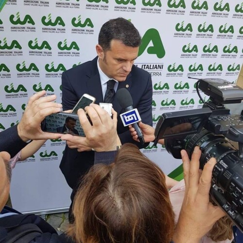 Xylella, il ministro dell’agricoltura Centinaio: ‘Presto in Puglia’