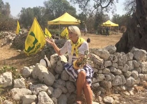 Xylella, l’appello dell’attrice britannica Hellen Mirren: ‘Aiutiamo il Salento a salvare i suoi ulivi monumentali’