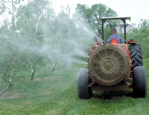 Xylella: l’Unione europea boccia l’utilizzo dei pesticidi chimici