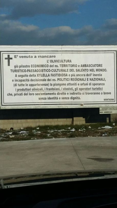 Xylella: manifesto funebre affisso da un imprenditore