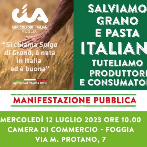 CIA Puglia: “Governo dia risposte concrete sul grano. Lo chiedono 500mila consumatori”