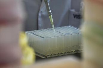 Fentanyl ‘mascherato’ sfugge a controlli, nuova tecnica lo svela