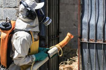 Dengue, oltre 4 milioni di casi in Brasile: quasi 2mila i morti (ma potrebbero essere il doppio)