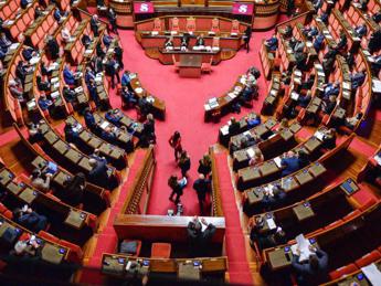 Ddl concorrenza, via libera dal Senato: da ambulanti a poteri Antitrust, le novità