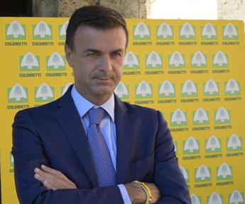 Prandini (Coldiretti): “Da Traffico illecito perdita economica e mercato nero”
