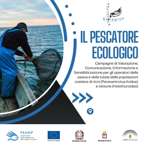 Al via la divulgazione di due progetti dedicati alla pesca sostenibile, ai pescatori e ai consumatori: “Puglia FishLifeStyle” e “Il pescatore ecologico”