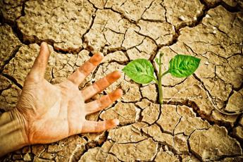 Il cambiamento climatico potrebbe ridurre il Pil mondiale di oltre il 4%
