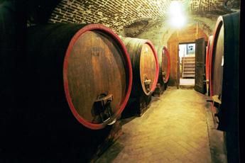 Rapporto Ismea-Qualivita, balzo avanti export Dop e Igp a 11,6 mld, +8%