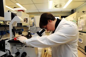 Scoperta causa epatite infantile tra risultati primo anno lavoro Inf-Act