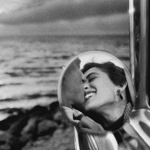 A Bari Elliott Erwitt Icons