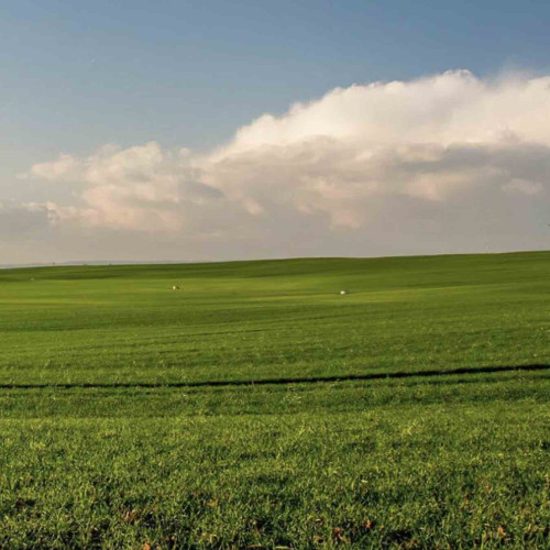Sostenibilità ambientale in Puglia, il contributo di Gruppo Econova  nel riciclo dei rifiuti