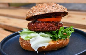 Dieta veg o chetogenica? Ecco come riprogrammano sistema immunitario