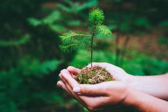 Difesa biodiversità, dal Cnr un bando da 20 milioni