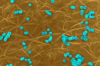 Infezioni da superbatteri costano circa 1 miliardo all’anno, roadmap con 10 priorità