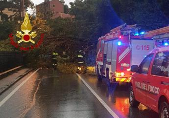 Maltempo in Liguria, Lombardia e Lazio: pioggia e vento, alberi caduti e strade chiuse