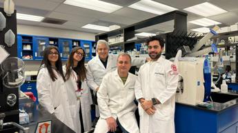 Tumori, una proteina alterata li fa crescere, bersaglio per nuove cure