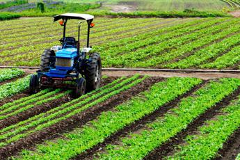 Un’Europa “sociale” attenta alle sfide dell’agricoltura, il manifesto Cia – Agricoltori italiani