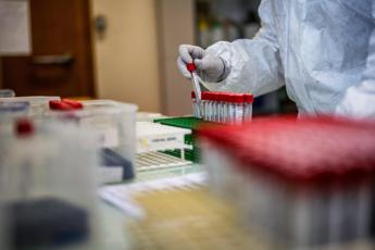 Covid, rilevata in Italia la variante KP.2: è più trasmissibile e immunoevasiva