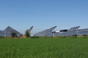 Dl Agricoltura, stop all’agrivoltaico se non permette l’attività agricola