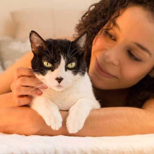 Assicurazione per cuccioli: perché è così importante?