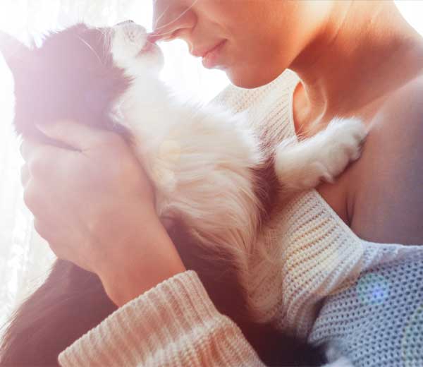 Assicurazione per cuccioli: perché è così importante?