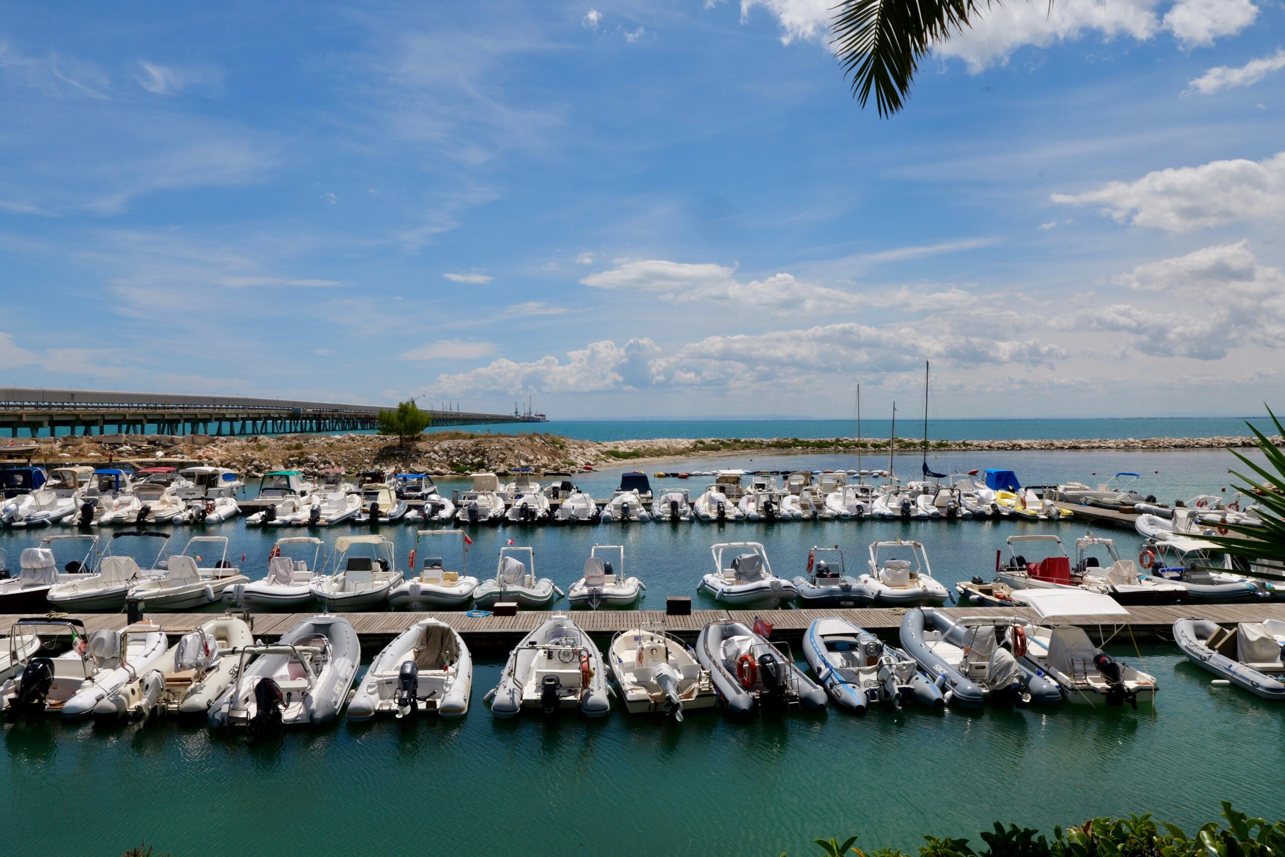 Manfredonia Rinasce: il Porto Industriale della Capitanata pronto a rivoluzionare l’economia locale