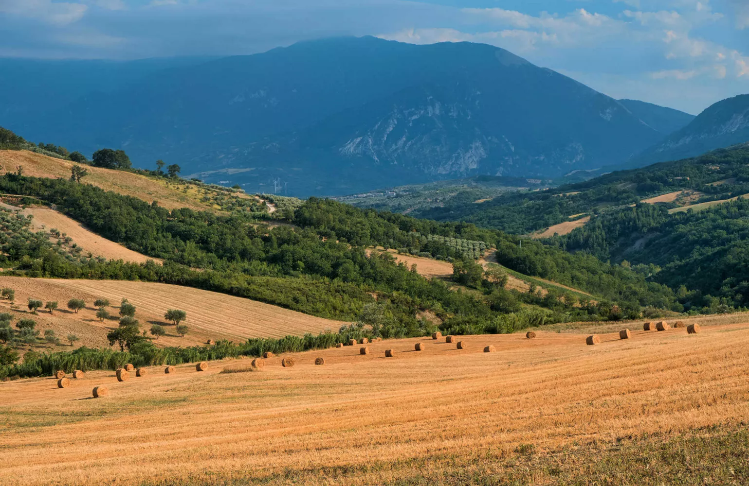 Avventure al chiuso e all’aperto per te e i tuoi amici quest’estate