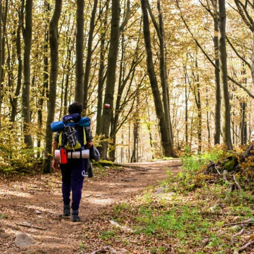 Avventure al chiuso e all’aperto per te e i tuoi amici quest’estate
