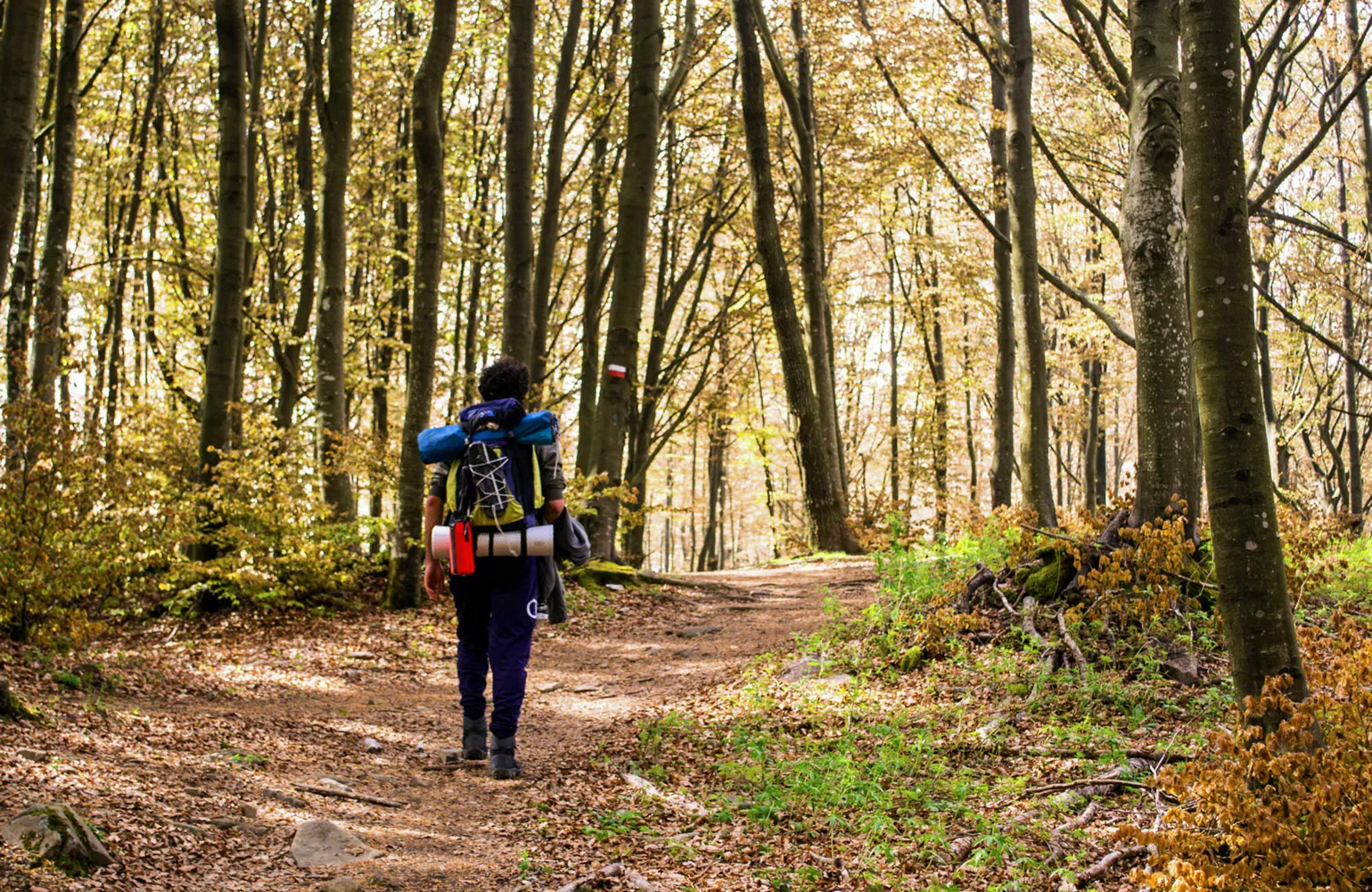 Avventure al chiuso e all’aperto per te e i tuoi amici quest’estate