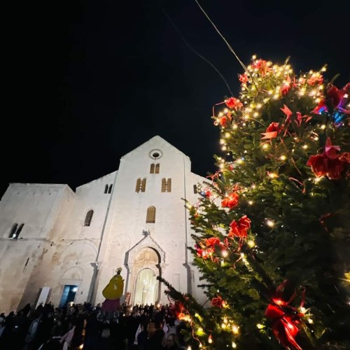 La magia si rinnova: l’Albero di Natale in memoria di Sandro Ambrosi torna a splendere a Bari