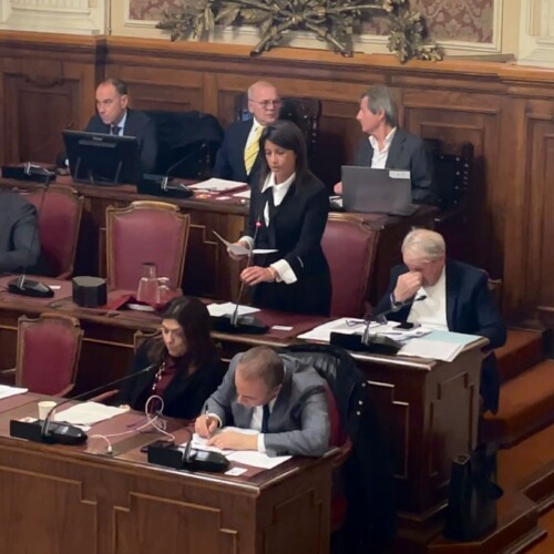 Regolamento disciplina armamento e strumenti autotutela Polizia Locale, Leccese: “Taser sospeso in attesa di riforma”