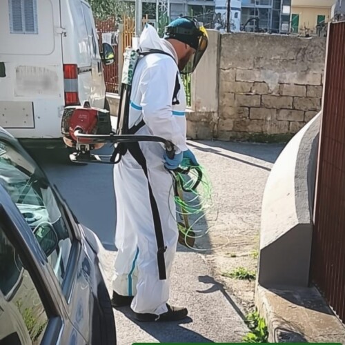 Al via il nuovo servizio di diserbamento gestito da Amiu Puglia, Perlino: “Passaggi potenziati e nuova mappa sul portale dell’azienda”