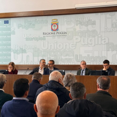 Lattiero-caseario, convocato il Tavolo regionale. Assessore Paolicelli: “Sarà il luogo di confronto con gli operatori del mondo agricolo per definire le azioni a sostegno di una filiera strategica per la Puglia”