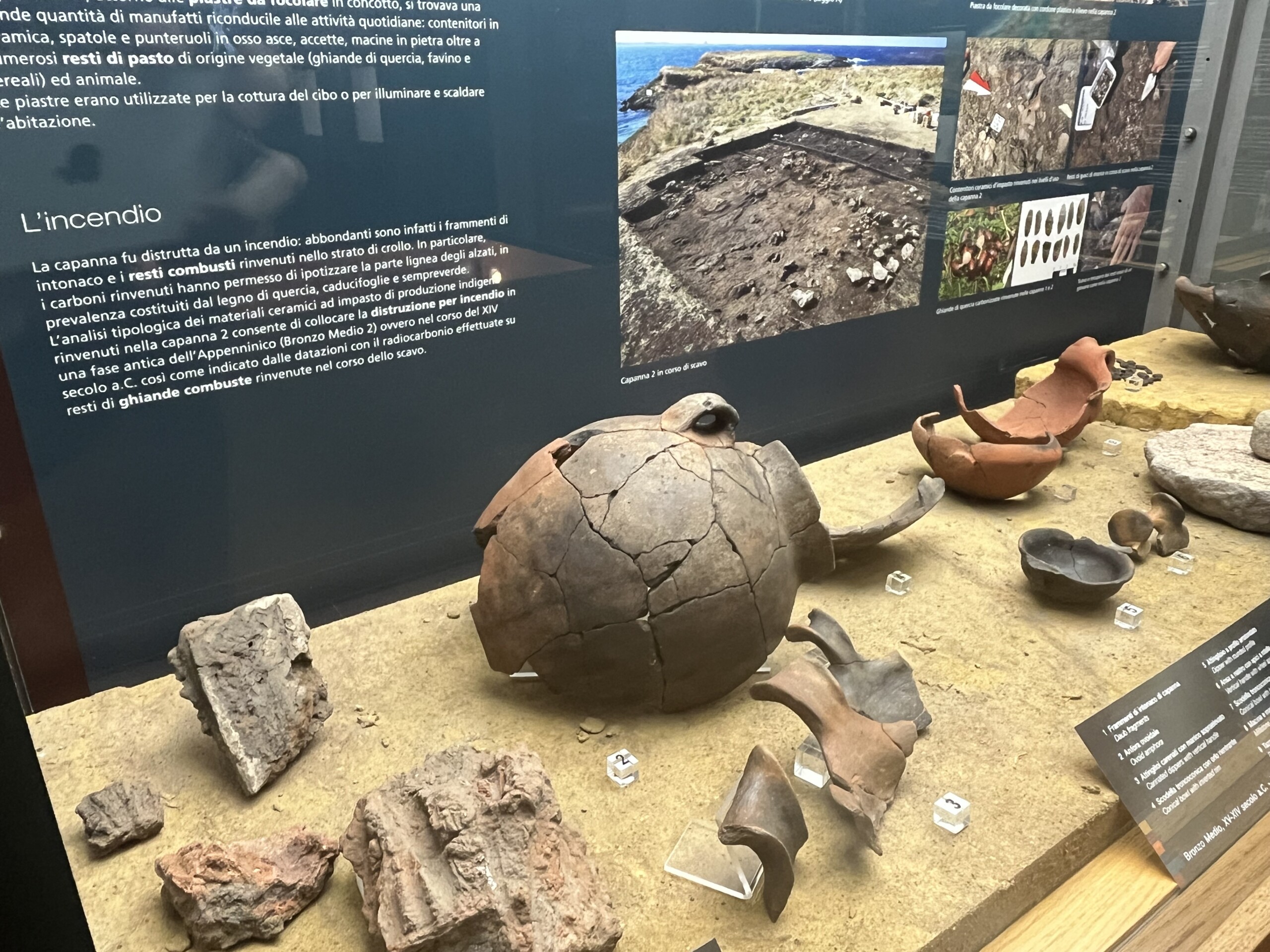 3500 anni prima della Riserva. Si inaugura al MuSA la nuova sezione permanente “Torre Guaceto nell’età del Bronzo”