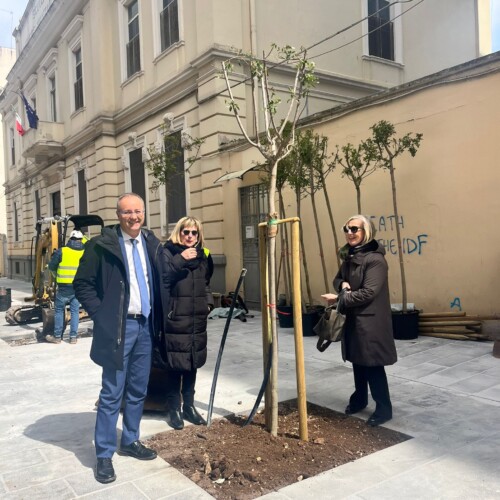 Riqualificazione via Manzoni: effettuate le prime piantumazioni nel tratto compreso tra corso Italia e via Crisanzio