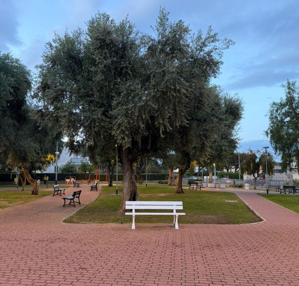 Municipio IV approva apposizione di una targa nel giardino Montalcini in memoria di Sabina Buonomo, vittima della strada