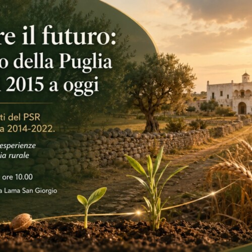 Coltivare il futuro: il racconto della Puglia rurale dal 2015 a oggi