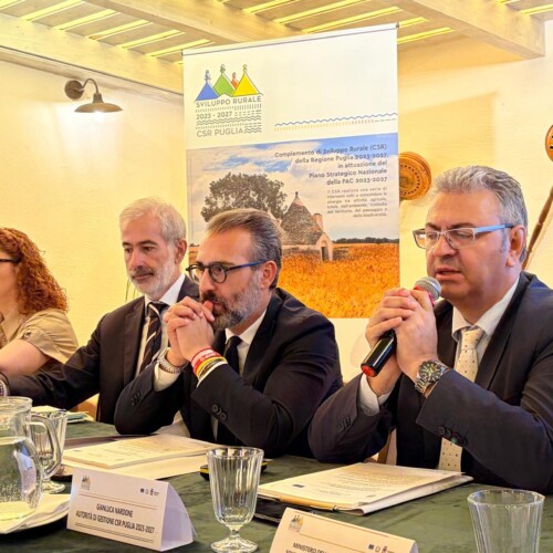 Sviluppo rurale, conclusi i Comitati di Sorveglianza e Monitoraggio: dieci anni di investimenti per la crescita della Puglia rurale e lo sguardo rivolto alla nuova PAC