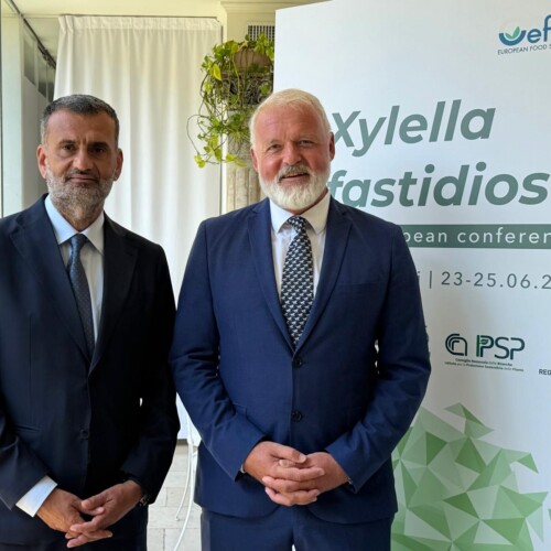 Xylella, la ricerca europea torna in Puglia: al via la quinta Conferenza internazionale EFSA