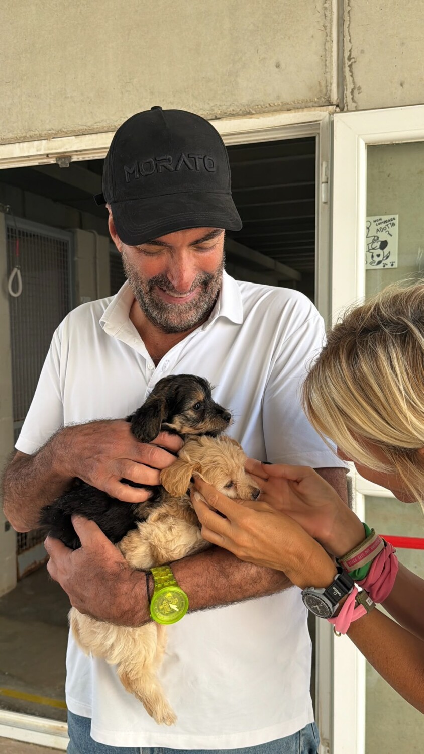 IL SINDACO LECCESE VISITA CANILE SANITARIO E CANILE RIFUGIO: TRA GLI ARRIVI ANCHE DEI CUCCIOLI NATI DA UNA MAMMA ABBANDONATA