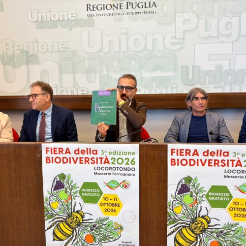 Fiera della Biodiversità Pugliese: il 10 e l’11 ottobre Locorotondo capitale della ricchezza genetica di Puglia