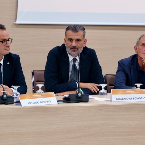 Hub Puglia. Le nuove opportunità per trattenere i talenti e attrarre investimenti: dallo sportello unico per l’attrazione degli investimenti, alla riforma della formazione