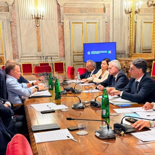 Olio, le Regioni del Mezzogiorno al Masaf: confronto su liquidità, giacenze e mercato