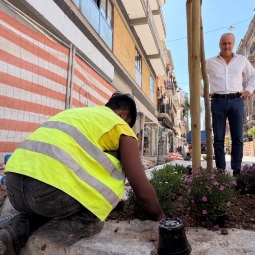 Riqualificazione via Manzoni, piantati altri undici alberi e cento settembrini tra via Calefati e via Abate Gimma