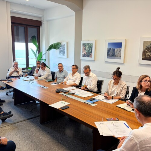 Vitivinicolo, da Regione Puglia la strategia per riequilibrare il settore: più controlli, distillazione e promozione
