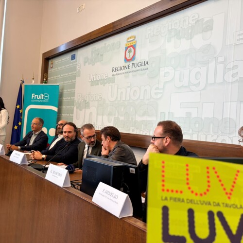 LUV 2026, presentata la II edizione della Festa dell’uva da tavola