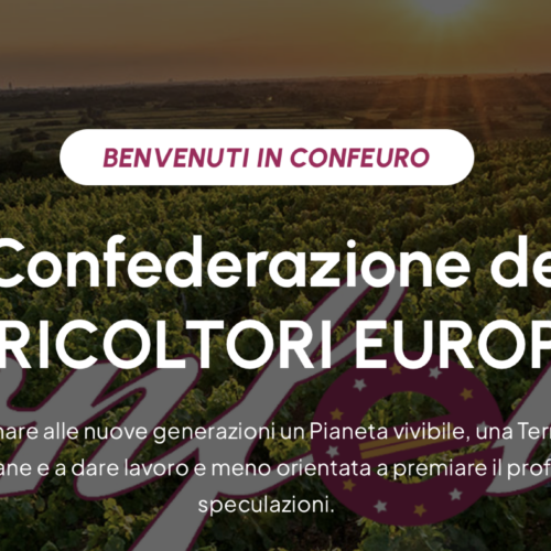 Puglia, Confeuro: “Crisi olio è specchio Italia. UE faccia sua parte”